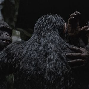 Foto Planeta dos Macacos: A Guerra