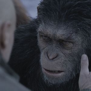 Foto Planeta dos Macacos: A Guerra