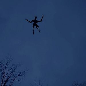 Foto The Gracefield Incident