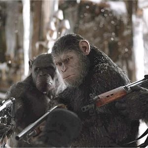 Foto Planeta dos Macacos: A Guerra