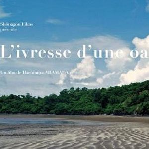 Foto Cinzas de Sonhos