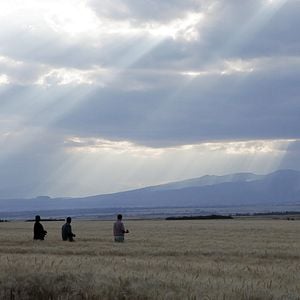 Foto Dead Donkeys Fear No Hyenas