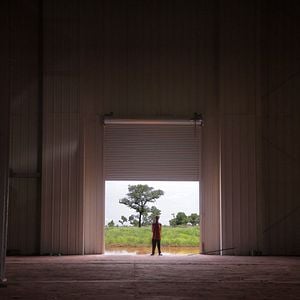 Foto Dead Donkeys Fear No Hyenas