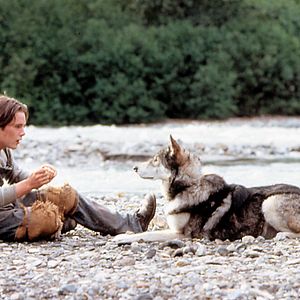 Foto Caninos Brancos