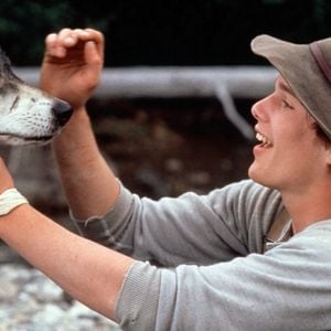 Foto Caninos Brancos