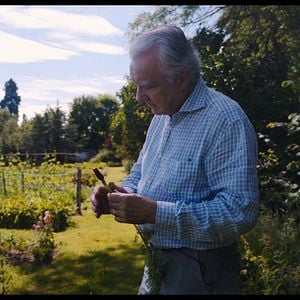 Foto A Busca do Chef Ducasse