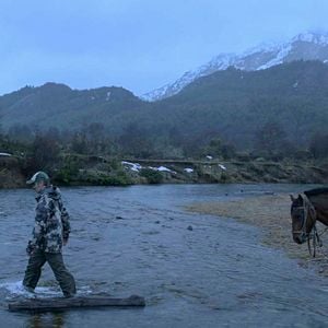 Foto Temporada de caza