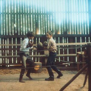 Foto Mitt liv som hund