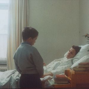 Foto Mitt liv som hund