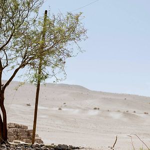 Foto Uma Espécie de Família