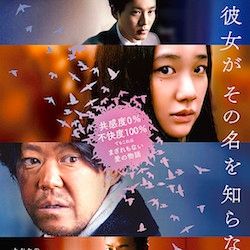 Foto Birds Without Names