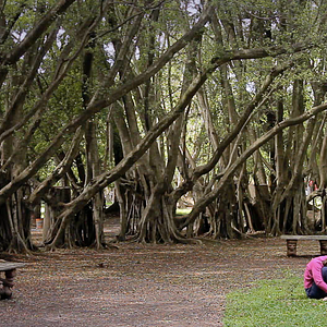 Foto O Corpo em Terapia