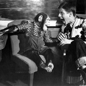 Foto Minha Amiga Maluca