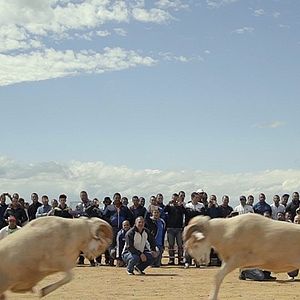 Foto Of Sheep and Men