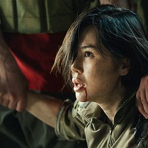 Foto Lobo Guerreiro 2