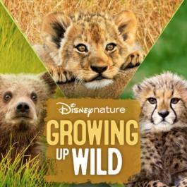 Foto Crescendo Livres