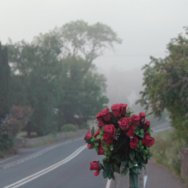 Foto No Stone Unturned