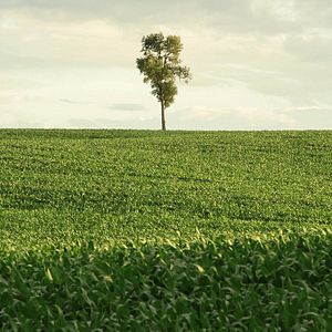 Foto In Pursuit Of Silence