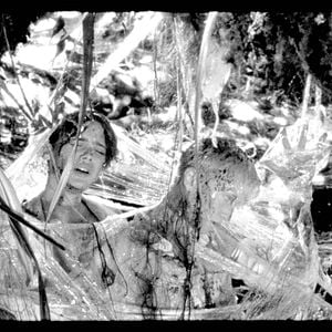 Foto Os Garotos Selvagens