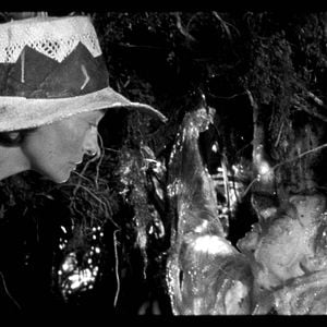 Foto Os Garotos Selvagens