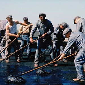 Foto Um Sonho de Liberdade