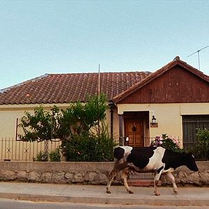 Foto Roberto Bolaño: A Batalha Futura Chile