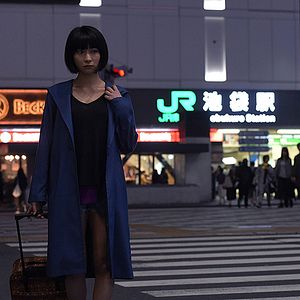 Foto Crepúsculo dos felinos