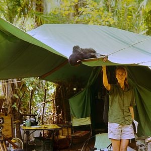 Foto Jane: A Mãe dos Chimpanzés