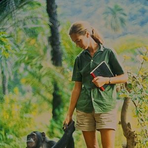 Foto Jane: A Mãe dos Chimpanzés