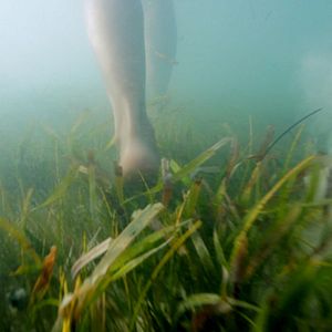 Foto Batalhas Íntimas