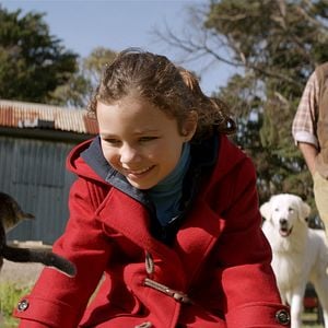 Foto Oddball e os Pinguins