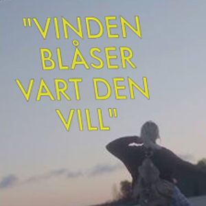 Foto O Vento Sopra Onde Quer