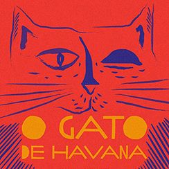 Foto O Gato de Havana