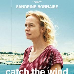 Foto Seguindo o Vento