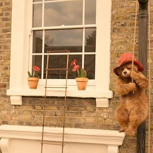 Foto Paddington 2