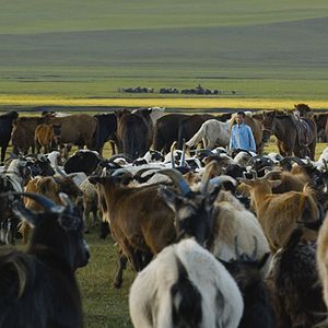 Foto The Children of Genghis