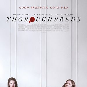 Foto Thoroughbreds