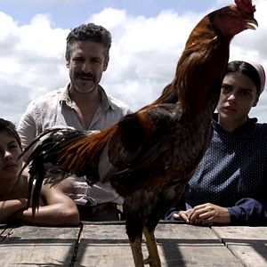 Foto Não Se Esqueça de Mim