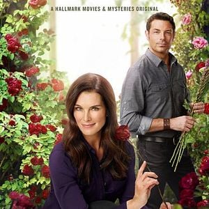 Foto Rosas Negras São Sinal de Mal Agouro