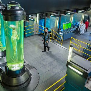 Foto As Travessuras de uma Sereia