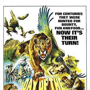 Foto Animais em Fúria