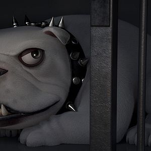 Foto Rudolph, o Gatinho Preto