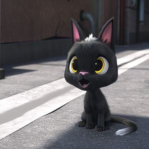 Foto Rudolph, o Gatinho Preto