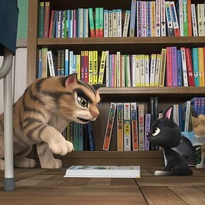 Foto Rudolph, o Gatinho Preto