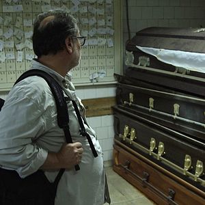 Foto A Cor do Camaleão