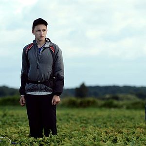 Foto Dias de Colheita