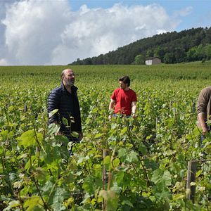 Foto De volta à Borgonha