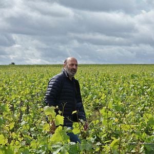 Foto De volta à Borgonha