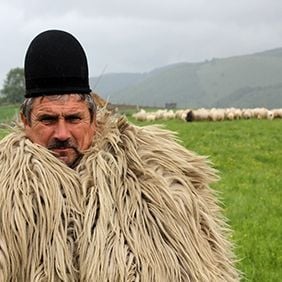 Foto Minha Transilvânia - Vencedores e Perdedores
