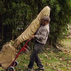 Foto Muitos Filhos, um Macaco e um Castelo